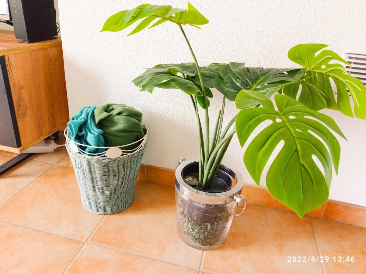 Apartament Appart Douillet Chateau-Arnoux-Saint-Auban Zewnętrze zdjęcie